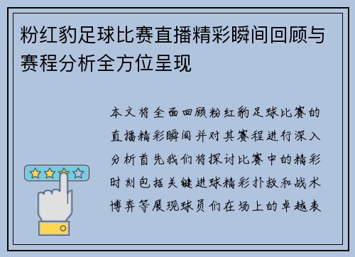 粉红豹足球比赛直播精彩瞬间回顾与赛程分析全方位呈现